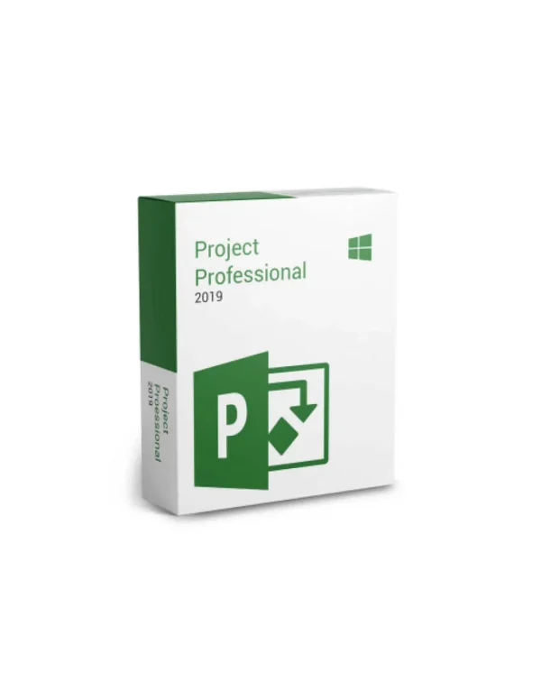 Project Profesional 2019