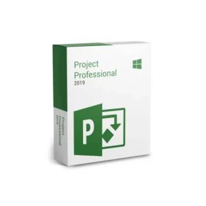 Project Profesional 2019