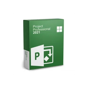 Project Profesional 2021