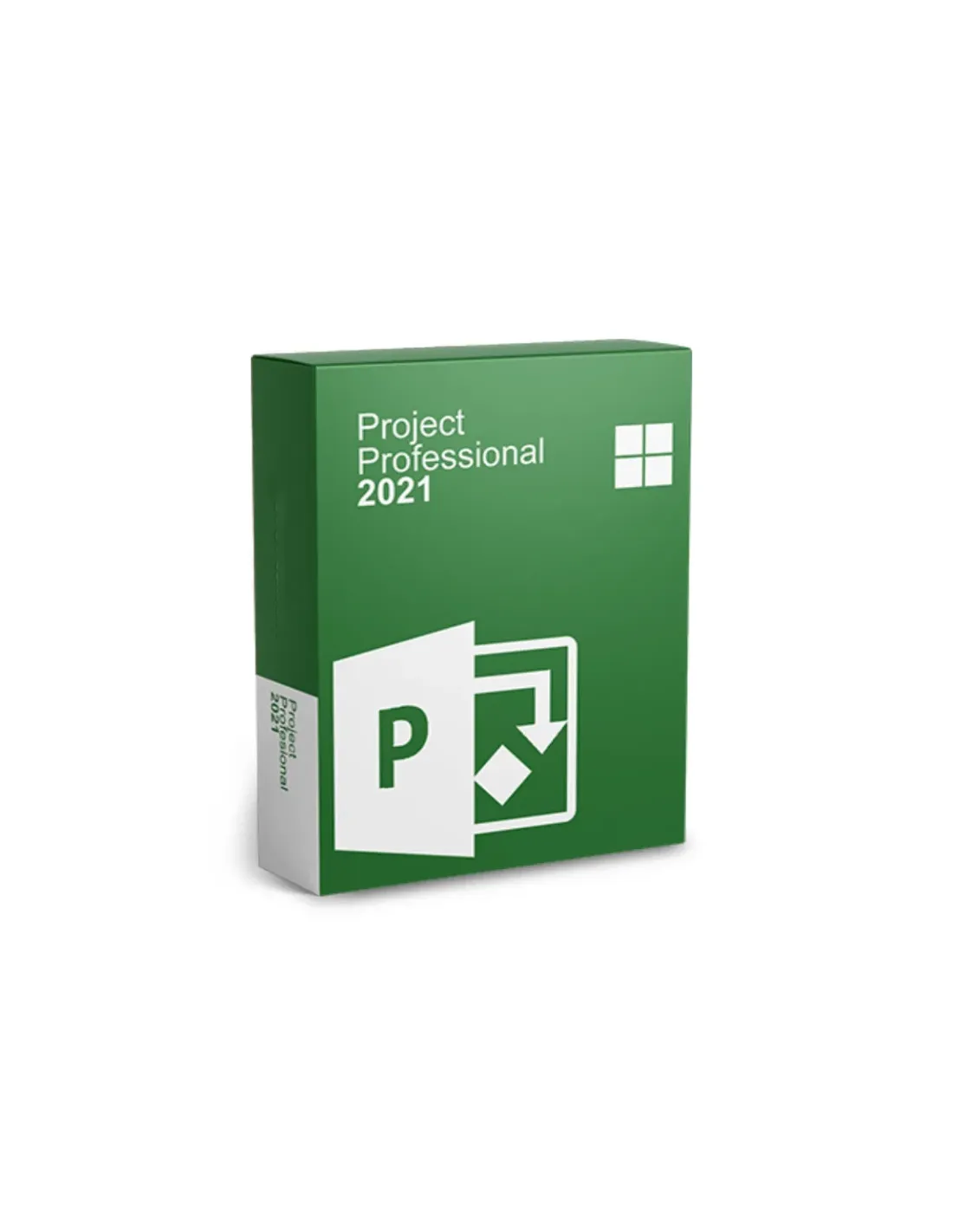 Project Profesional 2021